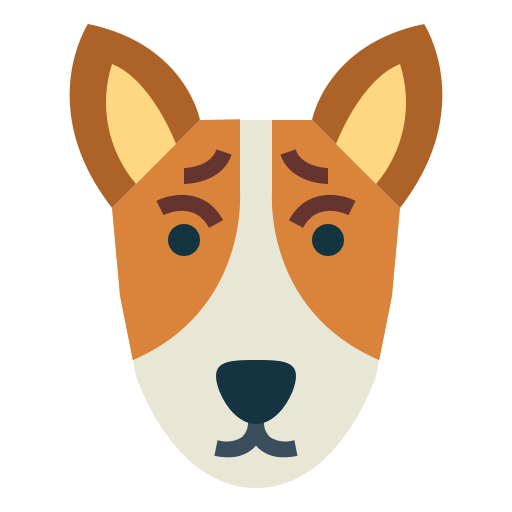 Basenji Forums