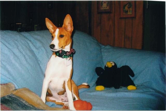 attachment_p_110016_4_scanned-picture-2.jpg