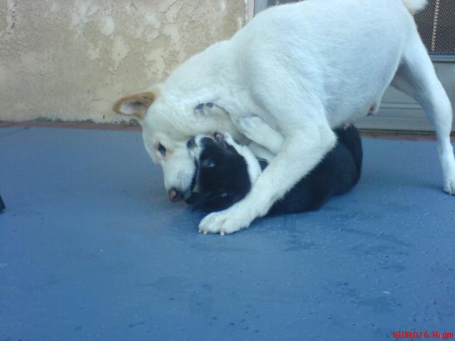 attachment_p_130566_1_dsc00068.jpg