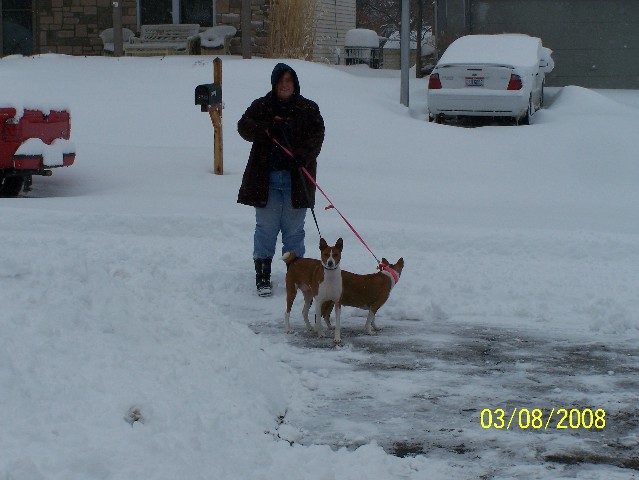 attachment_p_37818_2_snow-walk.jpg