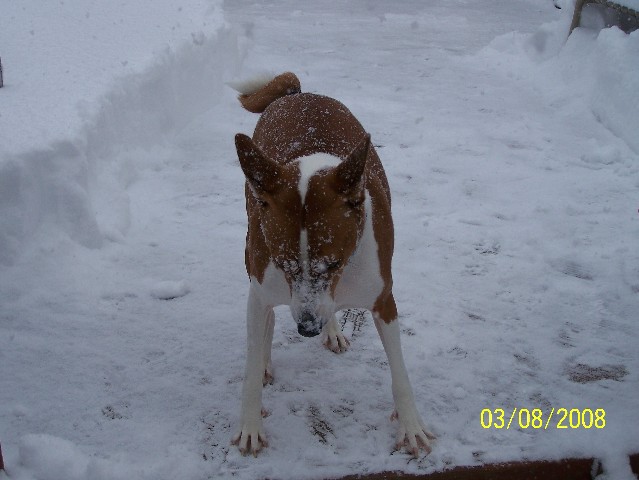 attachment_t_3260_1_cody-snow-on-face.jpg